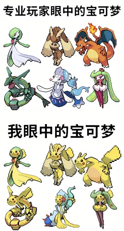 图片分为上下两部分进行幽默对比。上半部分标题为“专业玩家眼中的宝可梦”，展示了6只造型精致、细节丰富的宝可梦，包括沙奈朵、袋兽、喷火龙、烈空坐、西狮海壬和甜冷美后，均为原作中的经典形象；下半部分标题为“我眼中的宝可梦”，则将对应的6只宝可梦全部“皮卡丘化”——统一替换为黄色皮肤、红脸颊、尖耳朵的皮卡丘面部特征，造型呆萌可爱，夸张地表现了普通玩家对宝可梦的认知可能过度聚焦于人气角色皮卡丘的趣味现象。