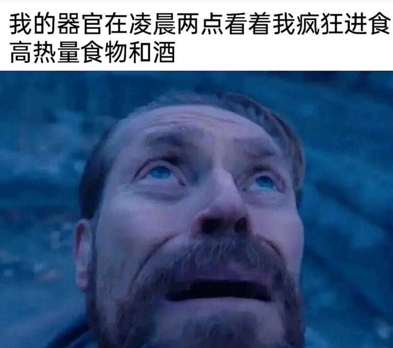 詹姆·兰尼斯特