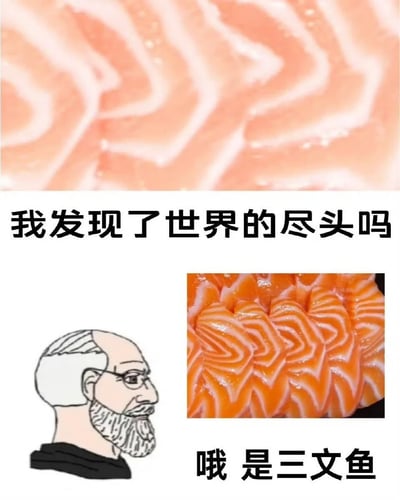 这是一张充满反差感的搞笑梗图，上方展示了三文鱼鱼肉的局部纹理特写，搭配文字“我发现了世界的尽头吗”，将普通的食材纹理赋予了探索未知的哲学式疑惑；下方左侧是一个戴着眼镜、头发稀疏的卡通老年男性形象，右侧是完整的三文鱼鱼肉纹理，搭配文字“哦 是三文鱼”，通过从疑惑到恍然大悟的转折，利用三文鱼特殊的波浪纹理带来的视觉错觉制造笑点，把对“世界尽头”的宏大想象和普通的食材真相形成强烈反差，充满趣味性。