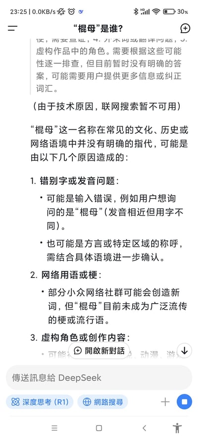 这是一张竖屏手机格式的聊天界面截图，用户在界面中提问“棍母是谁？”，系统回复称该名称在常见文化、历史或网络语境中无明确指代，可能由错别字、方言或小众网络用语导致，并提示因技术原因联网搜索不可用。截图中主要为文字内容，排版清晰，展示了完整的问答过程。