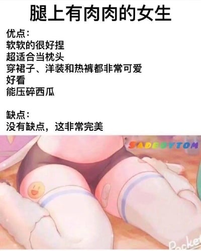 这是一张幽默风格的梗图，上方文字列出了“腿上有肉肉的女生”的优点和缺点。优点包括“软软的很好捏”、“超适合当枕头”、“穿裙子洋装热裤都可爱”等，最后一个优点“能压碎西瓜”带有夸张搞笑元素。缺点部分则幽默地表示“没有缺点，这非常完美”，形成反差萌效果。图片下方是动漫风格的腿部插画，展现了肉感的双腿穿着深色内裤和白色长筒袜，膝盖处有可爱的表情贴纸。