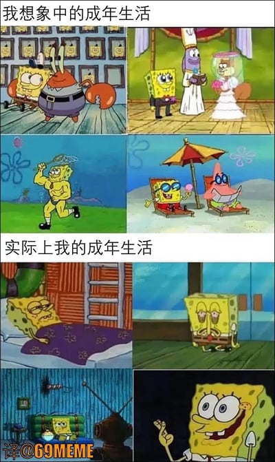 这张梗图通过《海绵宝宝》的多个经典场景，对比了理想中的成年生活和现实中的成年生活。上半部分展现了主角海绵宝宝理想中的美好生活：事业成功、婚礼、健身、和朋友度假等；而下半部分则是现实中宅在床上、颓废、孤独和在家看电视的场景，形成鲜明反差，带有自嘲和幽默的年轻人“社畜感”。

图片并没有明显的谐音梗或双关，但通过搞笑的情节和表情形成视觉、语义上的强烈反差，存在一定的暗示意义，比如成人世界的落差与现实困境。