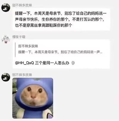这是一段充满趣味的聊天记录截图，用户「甜不辣多放辣」以玩梗的方式提醒大家母亲节要给亲生妈妈送祝福，调侃了游戏「打瓦」（CS2）里的认妈梗和网络上的趣味梗；另一位用户「樱夜千璇」脑洞大开提问如果三个「妈」是同一个人怎么办，最后「甜不辣多放辣」用一张蓝色兔子头套的猫咪表情包回应，猫咪呆滞无语的表情完美契合这个离谱提问，整个对话用网络热梗结合母亲节话题制造出搞笑的效果。