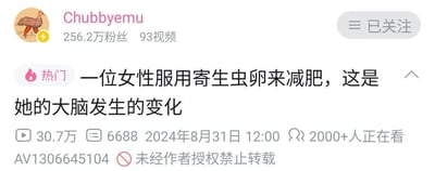 这是一张哔哩哔哩（B站）的视频截图，展示了up主Chubbyemu发布的一则热门科普视频的信息栏。截图顶部显示up主Chubbyemu的卡通鸟头像、256.2万粉丝量、93个视频的创作数据，右侧有“已关注”按钮；视频被标记为“热门”，标题为“一位女性服用寄生虫卵来减肥，这是她的大脑发生的变化”，下方标注了30.7万播放量、6688条评论、2024年8月31日12:00的发布时间，以及实时2000+人正在观看的状态；底部显示视频AV号为1306645104，并标注“未经作者授权禁止转载”的版权声明。该视频聚焦极端减肥方式带来的健康危害，属于健康科普类内容，无谐音梗、双关或暗示类内容。