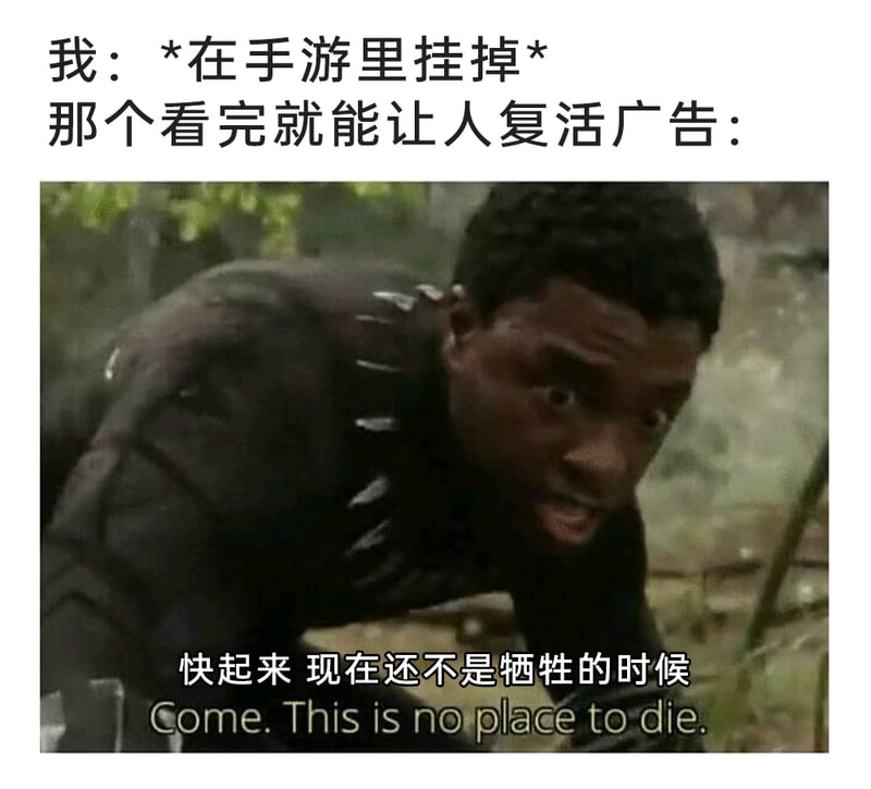 黑豹