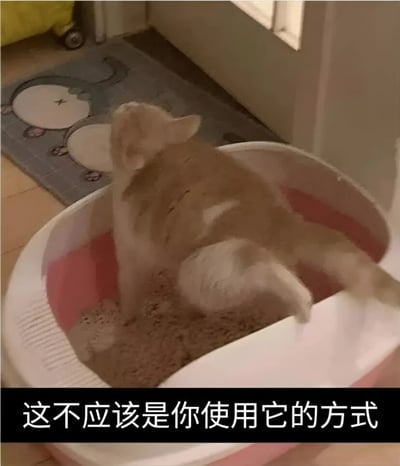 图片中一只浅色猫咪正待在粉白相间的猫砂盆里，身体大部分埋在猫砂中，似乎在进行与猫砂盆常规用途不符的活动。猫砂盆放置在铺有灰色卡通图案地垫的地面上，背景可见墙角和窗户。图片底部有一行白色文字：“这不应该是你使用它的方式”，以幽默的口吻调侃猫咪错误使用猫砂盆的行为。