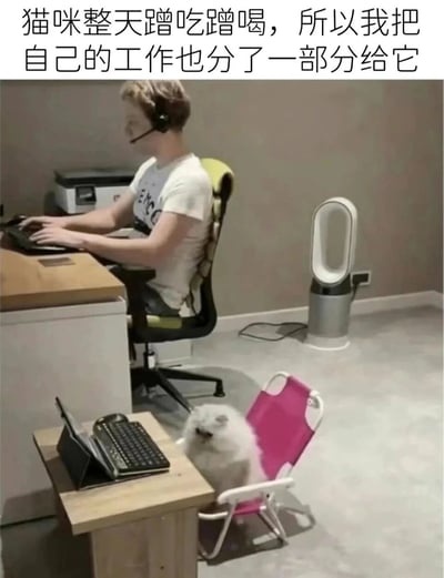 这张图片呈现了一个充满趣味的场景：画面上方，一位戴着耳机的成年人坐在办公椅上，在书桌前专注地操作键盘工作；画面下方，一只白色长毛猫咪被安排在迷你的粉色折叠椅上，面前的小书桌上摆放着键盘和平板类设备，模仿着人类的工作状态。图片上方的配文“猫咪整天蹭吃蹭喝，所以我把自己的工作也分了一部分给它”，以拟人化的幽默方式调侃猫咪在家“只享受不干活”，为它布置了专属“工作位”，营造出轻松搞笑的氛围，展现了铲屎官与宠物互动的趣味日常。