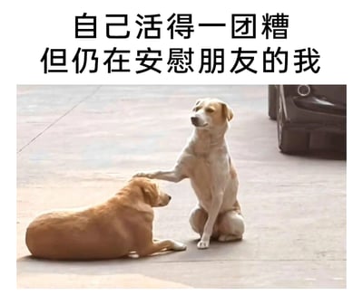 这是一张顶配底文图，上方配有文字“自己活得一团糟但仍在安慰朋友的我”，下方呈现了两只狗狗的互动画面：一只浅黄白相间的狗狗坐着，用一只前爪搭在另一只趴在地上的棕黄色狗狗的头上，做出安抚的动作，坐着的狗狗神态看起来有些疲惫、强撑着精神，完美对应了文字所描述的状态，生动戳中了当代年轻人明明自身处境不佳、情绪低落，却依然会强撑着去关心、安慰朋友的共情点，很容易引发有类似经历的人的情绪共鸣。
