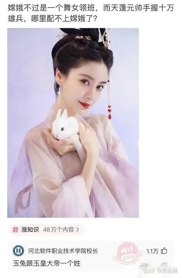 兔子
