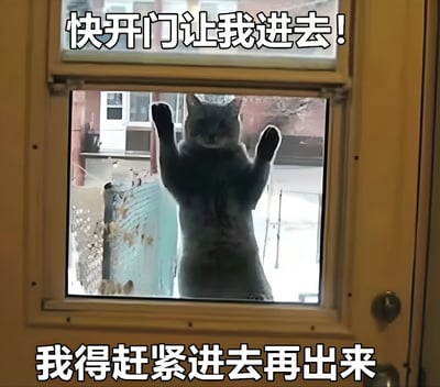 图片中一只灰色猫咪正站立在玻璃门外侧，用两只前爪紧紧贴在玻璃上，身体微微前倾，眼神专注地望向门内，仿佛在急切地请求进入。图片上方配有文字“快开门让我进去！”，下方则是“我得赶紧进去再出来”，通过猫咪矛盾的行为诉求，幽默地展现了宠物时而想进门时而想出门的可爱又让人无奈的日常状态，十分贴近养宠人士的生活体验。