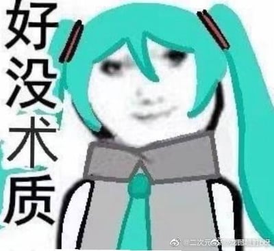 这是一张二次创作的P图表情包，将虚拟歌姬初音未来的标志性双马尾发型和服装，与一个带有怪异嘲讽感的真人脸部合成在一起。图中左侧竖排文字为“好没术质”，是“好没素质”的谐音梗，用“术”字关联初音未来所属的VOCALOID（国内俗称“术力口”）圈层属性，以搞笑荒诞的视觉效果，用来吐槽或嘲讽没素质的行为。