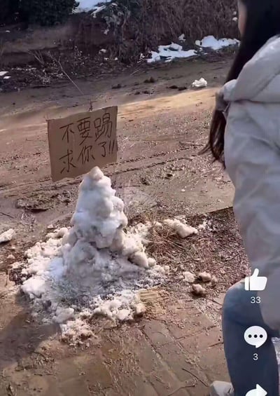 在户外泥泞的土路上，只剩一小堆融化得不成形的残雪，雪堆上方插着一块手写的纸板标语：“不要踢
求你了!!!”，画面右侧有一位穿白色外套的女生，做出要踢向雪堆的动作，和标语的恳求形成强烈反差，既有点搞笑，又让这小堆残雪的“求生欲”拉满，充满趣味反差感。