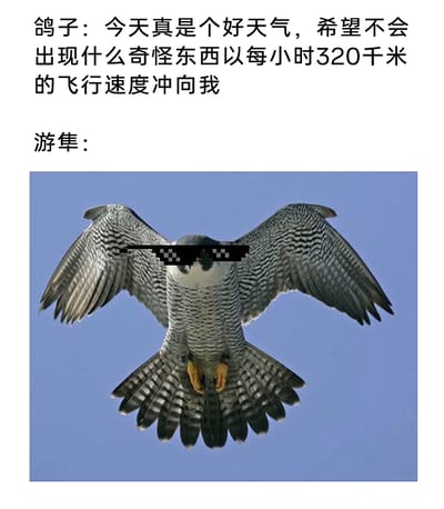 暂无描述
