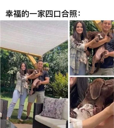 这是一组制造反差笑点的多图拼接梗图，标题标注为“幸福的一家四口合照”。主图呈现出一男一女分别抱着一只棕色狗狗和一只白色猫咪，面带笑容看起来十分温馨和谐，仿佛是幸福的家庭合影；右上角的局部放大图进一步展示了两人抱着宠物的画面；右下角的特写图则揭露了真实场景：棕色狗狗正咬着白色猫咪的头部，猫咪露出痛苦的神态。温馨的合影标题与宠物真实的敌对互动形成强烈反差，制造出荒诞搞笑的效果，用这种反差感来调侃看似美好实际画风突变的场景。
