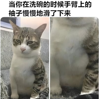 这张 meme 由两张猫的照片组成，左图是一只表情冷漠的猫坐着，右图是猫的下半身特写，其毛发看起来像洗碗时滑落的袖子。上方文字描述了洗碗时袖子滑落的情景，用猫的毛发形象地模拟了这一场景，十分搞笑。