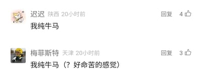 这是一张社交媒体评论区的静态截图，展示了两条发布于20小时前的用户评论。第一条来自陕西的用户“迟迟”，评论内容为“我纯牛马”，获得了4个点赞；第二条来自天津的用户“梅菲斯特”，评论内容为“我纯牛马（？好命苦的感觉）”，获得了3个点赞。“纯牛马”是网络热词，用来指代像牛马一样辛苦劳作、被压榨的打工人，两位网友通过使用该词进行自嘲，传递出自身生活劳碌、命途辛苦的疲惫与无奈感。