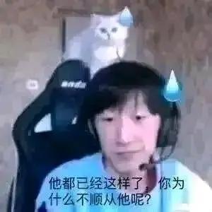 这是一张网友创作的合成梗图，将前英雄联盟职业选手otto（侯国玉）的直播画面与一只流汗的猫咪表情包拼接在一起，二者头顶都添加了流汗的特效，画面下方配有文字“他都已经这样了，你为什么不顺从他呢？”。整体氛围戏谑无奈，常用于调侃或劝说他人在某件事上选择妥协，尤其在电竞相关的社交场景中使用较多。