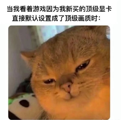 这张图是一组带有中文搞笑文案的猫咪表情包。上方文字描述了当用户因为新买了顶级显卡，游戏自动把画质设置为顶级质量时的心情，下方配以一只猫咪面无表情地凝视镜头，形象地表达了高配硬件玩家的淡定、甚至有些无语的心理反应。猫咪的神情与文字形成反差，十分幽默，适合用于数码、游戏发烧友间互相调侃。

图片未涉及双关、谐音梗或性暗示，主要是表达调侃自己装机升级后游戏体验的小情绪。