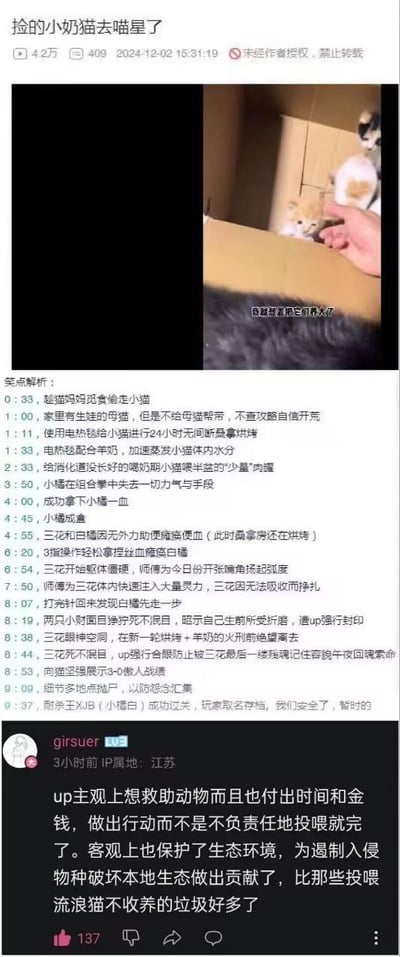 这是一张哔哩哔哩（B站）的竖屏视频截图，视频标题为《捡的小奶猫去喵星了》，发布于2024年12月2日，播放量4.2万，有409条评论。视频画面显示几只待在纸箱里的小奶猫，其中一只被人手触碰，配文“我就想看着它们养大了”。画面下方是一段用游戏攻略式的讽刺文本作为“笑点解析”，将up主错误的养猫操作（如24小时用电热毯“烘烤”小猫、喂少量肉糜等）包装成游戏任务描述，暗指这些不当操作导致小猫死亡。截图最下方是一条高赞评论，用户“girsuer”为up主辩解，称其主观救助付出了时间金钱，还保护了生态，比投喂流浪猫不收养的人好，该评论获137赞。整个内容围绕流浪猫救助的争议展开，用反讽的方式批判不当救助行为，同时评论区的观点引发对立，其中笑点解析大量使用游戏术语谐音、暗喻，比如“成盒”指小猫死亡，“桑拿房”指错误使用的电热毯，“去喵星了”是对猫死亡的委婉说法。