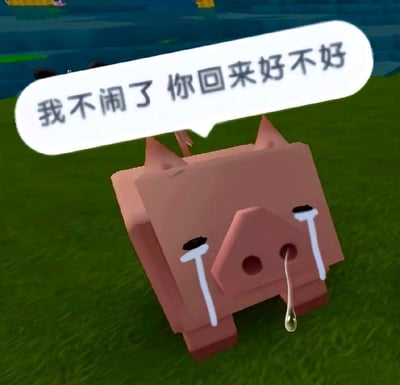 这是一张虚拟方块猪角色的表情包梗图，猪猪坐在草地上，表情极度悲伤，眼中流着两行大泪，鼻孔还挂着鼻涕，看起来十分委屈，头顶的对白气泡写着“我不闹了你回来好不好”，带有撒娇和认错的含义。整个画面带有浓烈的卖萌与搞笑气息，适合用来表达悔过或请求别人回心转意。

此图有撒娇、认错的双关元素，将小猪的无助与现实人际关系中的认错和挽回联系起来。
