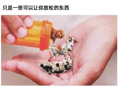 这是一张经过PS改编的趣味治愈梗图，画面中一只手拿着常见的橙色药瓶，往另一只摊开的手掌中倾倒，倒出的却不是药片，而是三只形态各异的迷你小狗：一只卷毛小狗从瓶口探出，一只短腿小狗开心地滚落向手掌，还有一只花纹小狗惬意地躺在手掌上。图片上方配文“只是一些可以让你放松的东西”，用将可爱小狗比作解压“特效药”的创意反差，传递出宠物能治愈疲惫、让人放松心情的温暖感，精准戳中喜爱宠物人群的喜好，风格温馨有趣。