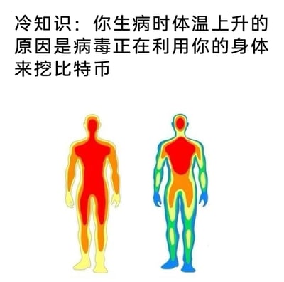 这是一张用于搞笑的图文梗图，上方配有荒诞的“冷知识”文字：“冷知识：你生病时体温上升的原因是病毒正在利用你的身体来挖比特币”，下方是左右两幅卡通化的人体热成像对比图，左侧热成像整体以红黄色为主，代表人体处于发烧、体温较高的状态；右侧热成像身体各部位呈现蓝绿、黄橙、红色的分层，代表体温相对正常的状态。该梗图借用比特币挖矿时设备会大量发热的特点，将发烧时身体发热的现象无厘头地归因于“病毒用身体挖矿”，以幽默、荒诞的方式调侃生病发烧的体验，属于网络原创的搞笑meme内容。