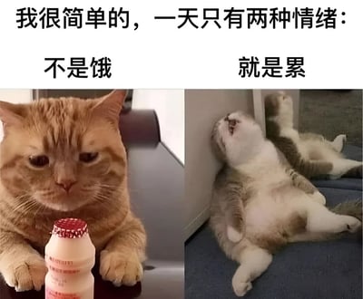 这是一张左右对比的猫咪表情包，上方配有文字'我很简单的，一天只有两种情绪：'。左侧是一只橘猫前爪抱着酸奶瓶，眼神忧郁地看着前方，上方文字为'不是饿'；右侧是一只灰白猫四脚朝天躺在地上打哈欠，姿态慵懒，上方文字为'就是累'。图片通过两只猫咪的不同状态，幽默地表达了现代人简单又真实的日常情绪状态。