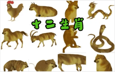 这张图片是对中国传统十二生肖的趣味魔改创作，创作者将网络流行的Doge狗头与十二生肖对应的动物身体进行拼接，生成了鸡、牛、兔、龙、马、羊、猴、蛇、虎、鼠、猪、狗这十二个带有Doge经典疑惑表情的魔改生肖形象。图片中间用醒目的绿色字体标注了“十二生肖”字样，整体画面风格荒诞滑稽，借助Doge表情包的搞笑特质，为传统的生肖文化赋予了网络迷因的幽默感，属于典型的网络二次创作搞笑P图，旨在通过反差感制造趣味效果，没有双关、谐音梗等额外隐含内容。