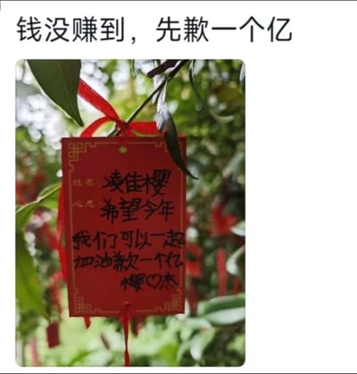 这是一张实拍的祈愿树场景图，绿色的树枝上用红丝带系着一块带有金色边框的红色祈愿牌，牌上手写着姓名“凌佳樱”，以及心愿内容“希望今年我们可以一起加油歉一个亿”，末尾还标注了“樱❤杰”。图片顶部配有黑色文字“钱没赚到，先歉一个亿”，利用“赚”与“歉”的谐音，将原本期盼赚钱的心愿故意写成“歉钱”，形成强烈的反差感，用搞笑的方式调侃当下年轻人的经济压力，把普通的祈福内容变成了带有网感的趣味表达。