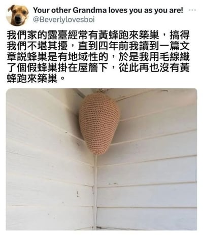 图片为社交媒体截图，顶部显示带有狗头像的用户@Beverlylovesboi发布的内容，上方有英文文字“Your other Grandma loves you as you are!”。下方是中文描述：用户家露台因黄蜂筑巢而困扰，四年前受文章启发用毛线织假蜂巢挂在屋檐下，成功解决黄蜂问题。配图为白色木质屋檐角落悬挂的棕色毛线编织假蜂巢实物照片，整体为图文混排形式，内容聚焦生活实用小妙招分享。