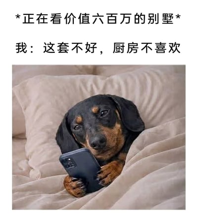 这是一张充满自嘲幽默感的图文梗图，上方配文先以旁白形式标注“正在看价值六百万的别墅”，接着是“我”的台词“这套不好，厨房不喜欢”；下方是一只黑棕配色的腊肠狗，趴在柔软的米色床品上，两只前爪抱着手机，眼神慵懒又带着几分装模作样，模仿人类躺在床上刷手机看豪宅、挑剔房源的样子。图中用动物模仿人类行为的反差感，调侃了普通人躺在床上幻想购置豪宅的搞笑日常，将遥不可及的买房幻想用接地气的场景呈现，充满趣味。