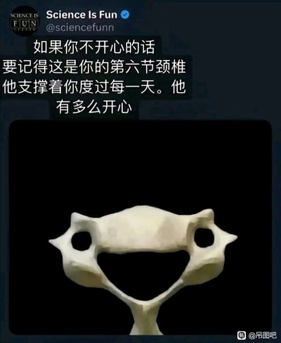 这是一张兼具科普性与治愈感的趣味图片，上方配有汉化后的治愈系文案，安慰情绪低落的人，告知他们自身的第六节颈椎始终以类似笑脸的形态“开心”地支撑着自己度过每一天；下方展示的是人体第六节颈椎的骨骼标本，其骨骼的孔洞与结构组合后，恰好形成了一个咧嘴微笑的可爱表情，利用人体骨骼的天然形态巧合，将严肃的解剖学知识转化为温暖的情绪安慰，让人在了解人体结构的同时获得心灵慰藉。