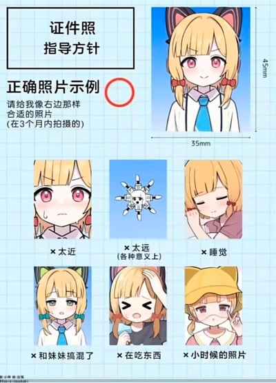 这是一张模仿证件照拍摄规范的二次元搞笑梗图，上方展示了合格的证件照示例：来自游戏《蔚蓝档案》的金发猫耳角色伊落玛丽，端正拍摄的35mm×45mm标准证件照，要求提供3个月内拍摄的照片。下方列出6种不合格的照片并标注雷区：
1. 太近：伊落玛丽的脸部占满画面，表情无奈冒汗；
2. 太远（各种意义上）：画面是一架小型无人机，完全偏离本人，这里是双关梗，既指拍摄距离过远，也指内容完全不符合要求；
3. 睡觉：伊落玛丽闭眼，姿态慵懒像在睡觉；
4. 和妹妹搞混了：误用了双胞胎妹妹伊落哈娜的照片，二者发型发饰、眼睛颜色有明显区别；
5. 在吃东西：伊落玛丽捂脸，手持食物，表情狼狈；
6. 小时候的照片：伊落玛丽戴着小黄帽，是童年模样，不符合“3个月内拍摄”的要求。
整体用幽默夸张的方式吐槽证件照拍摄的各种错误示范，充满二次元趣味。