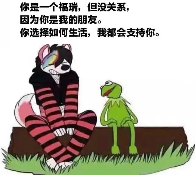 科米蛙
