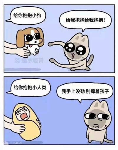 这是一幅上下分栏的连环卡通漫画，通过猫咪对待不同对象的反差态度制造幽默效果。上半部分画面中，一只手抱着吐舌卖萌的小狗，配文“给你抱抱小狗”，旁边的猫咪眼睛亮晶晶、吐着舌头，兴奋地伸出双爪，大喊“给我抱抱给我抱抱！”，表现出对小狗的极度喜爱；下半部分画面中，一只手抱着哭闹的人类婴儿，配文“给你抱抱小人类”，刚才兴奋的猫咪立刻转变态度，眼神下垂、表情冷漠敷衍，推脱说“我手上没劲 别摔着孩子”。漫画以夸张的双标行为，用诙谐的方式讽刺了区别对待的滑稽之处，贴近日常情绪，容易引发观众共鸣。
