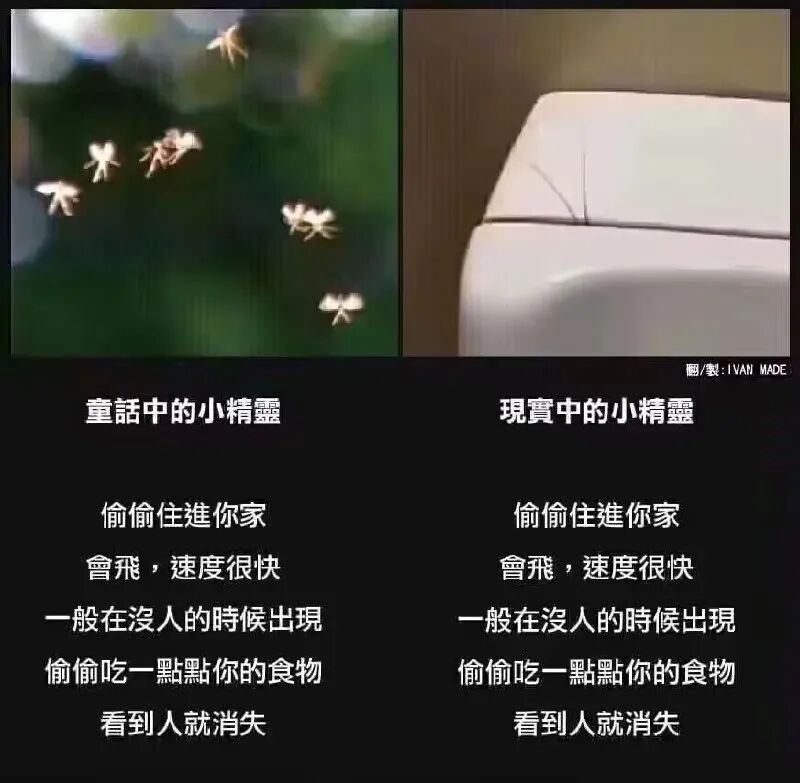 童话