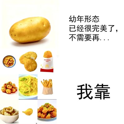 这张梗图采用左图右文的排版，左上角放置了一颗完整的新鲜土豆，右侧配文“幼年形态已经很完美了，不需要再...”，文字故意没有写完。下方区域整齐排列了9种由土豆加工制作而成的常见美食，从上到下从左到右分别是狼牙土豆、自制薯饼、麦当劳脆薯饼、香辣炕小土豆、青椒炒土豆丝、美式薯条、淋酱土豆泥、薯片、干锅锅巴土豆，右下角对应配了两个加粗的大字“我靠”，通过前后的反差感制造笑点，调侃土豆本身虽然已经是很不错的食材，但经过不同方式加工后得到的各类衍生食品都十分受欢迎，甚至比原生土豆更有吸引力。