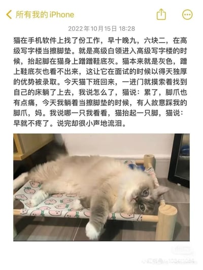 这是一张图文混排的静态单图，截图自iPhone手机的笔记界面，显示发布时间为2022年10月15日。上方是典型的小猫文学文字内容：以拟人化的叙事讲一只灰色小猫找到一份在高级写字楼当擦脚垫的工作，月薪六块二早十晚九，下班回家后说工作劳累脚爪被人故意踩痛，转头又说早就不疼了，还偷偷小声流泪，内容共情了当代打工人的疲惫与隐忍。下方配图是一只浅灰带白的布偶猫，正仰躺在印着桃子图案的木制猫吊床上，睁着圆眼睛看向镜头，神态慵懒茫然。