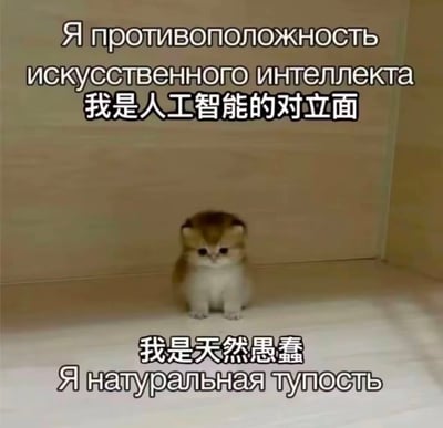 一只可爱的小猫坐在木质角落，上方配有文字'我是人工智能的对立面'，下方配有文字'我是天然愚蠢'，通过可爱猫咪形象与幽默文字形成反差萌，表达对人工智能的调侃。图片同时包含俄文和中文文字，可能在中俄社交媒体上流传。