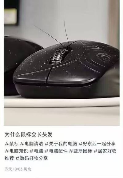 一张黑色电脑鼠标的特写照片，鼠标表面有一只蟑螂，其细长的触角从鼠标顶部伸出，看起来像鼠标‘长了头发’。图片下方配有文字‘为什么鼠标会长头发’，利用视觉错觉（蟑螂触角形似头发）制造幽默效果，引发对电脑周边卫生状况的调侃。
