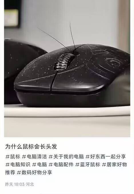 蟑螂