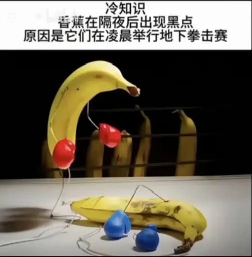 本次原创梗图