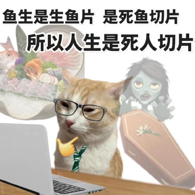 这是一张荒诞搞笑的拼贴梗图，画面主体是戴着眼镜、系着领带的职场思考橘猫，它对着电脑，表情倦怠又若有所思。图的左上角是生鱼片拼盘，上方配文“鱼生是生鱼片 是死鱼切片 所以人生是死人切片”，用“鱼生”和“人生”的谐音，强行构建无厘头逻辑，将人生调侃为“死人切片”。画面右侧搭配了诡异的僵尸女孩和棺材元素，进一步强化文案的阴间荒诞感，整体用离谱的歪逻辑吐槽人生的无力感，风格搞笑又带着丧系的幽默。