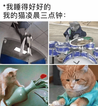这是一张四格图文混排梗图，标题为“*我睡得好好的 我的猫凌晨三点钟：”，通过四张猫咪的照片幽默展现了猫咪在凌晨三点的活跃行为与主人想睡觉的矛盾。左上格是一只黑白猫在空中跳跃，右上格是一只灰猫穿着衣服打蓝色架子鼓，左下格是一只白猫推倒插着红色郁金香的绿色花瓶，右下格是一只橘猫表情无辜地看着前方。整体通过猫咪的“捣乱”行为与主人的睡眠需求形成对比，引发养猫人士的共鸣，充满生活气息和幽默感。