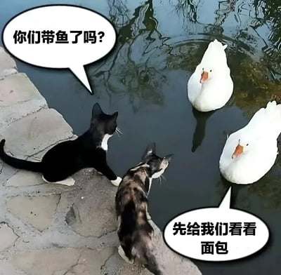 图片中两只猫咪（一只黑白相间、一只玳瑁色）蹲坐在池塘边的石阶上，正低头望向水中的两只白色大鹅。黑白猫咪的对话气泡里写着“你们带鱼了吗？”，而水中的白鹅则回应“先给我们看看面包”。画面通过动物间拟人化的对话制造幽默效果，展现了猫咪想向鹅索要鱼，却反被鹅要求先出示面包的有趣互动场景。