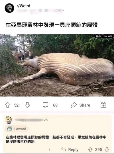这是一张Reddit社区r/Weird板块的帖子截图，帖子声称在亚马逊丛林中发现了一具座头鲸的尸体，配图是一头座头鲸躺在布满枯枝的丛林地面上，场景十分反常荒诞。下方的高赞评论用一句看似正确的废话玩梗：“在丛林里发现座头鲸的尸体一点都不奇怪吧，毕竟鲸鱼在丛林中是没办法生存的啊”，用逻辑闭环的无厘头回应制造出搞笑的效果。