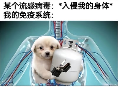 这张梗图用幽默的方式表现了免疫系统对抗流感病毒的场景。上方文字写着"某个流感病毒: *入侵我的身体* 我的免疫系统:"，下方则是一张创意合成图：透明的人体躯干模型中，一只可爱的小白狗正抱着一个煤气罐和打火机，表情严肃认真，仿佛准备与病毒同归于尽。这种夸张的对比产生了强烈的喜剧效果，暗示免疫系统为了保护身体会采取极端措施。