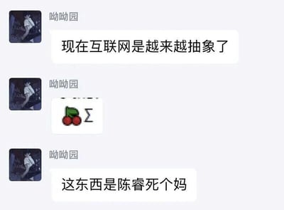 这是一张社交聊天平台的记录截图，用户“呦呦园”先是发表感慨称“现在互联网是越来越抽象了”，随后发送了一张由像素风格樱桃图案与数学求和符号Σ组成的图片，最后揭晓这个组合图的含义是谐音梗“陈睿死个妈”。该内容通过图案与符号的发音谐音来对应这句话，是互联网上典型的抽象式表达，这类梗利用谐音和视觉符号的组合，用隐晦的方式传递内容，体现了当下互联网中部分用户喜欢用小众、抽象的梗来表达情绪的文化特点。