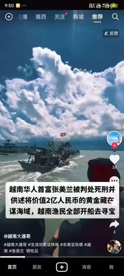 这是一张抖音短视频平台的播放界面截图，画面主体是海面上多艘正在航行的渔船，天空布满厚重云朵；画面中间的白色配文区域写着“越南华人首富张美兰被判处死刑并供述将价值2亿人民币的黄金藏在谋海域，越南渔民全部开船去寻宝”（其中“谋”应为错别字“某”）。截图显示该视频发布者为@越南大通哥，视频右侧显示获38个点赞、4次转发，下方附带#越南大通哥 #生活旧要这样焕 #东南亚风情 #越南 #张美兰 牺牲品等话题标签，整体内容是传播一则关于越南渔民集体出海寻找巨额黄金的猎奇传闻。