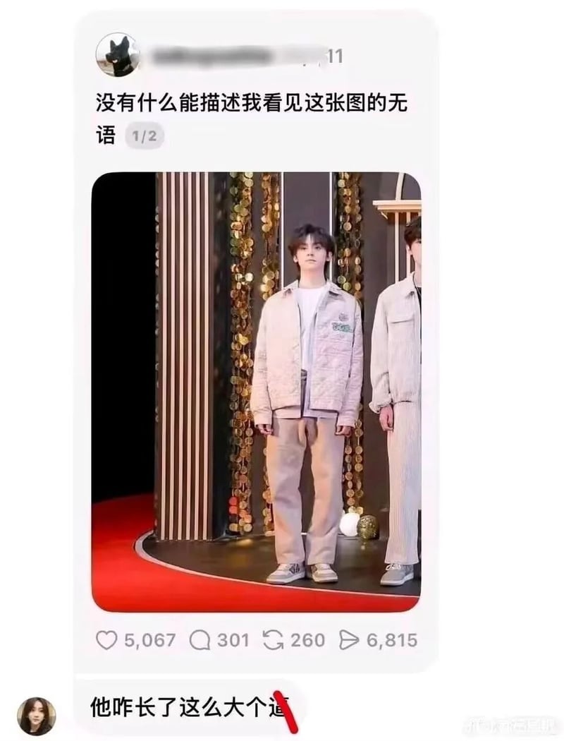 娱乐圈红毯活动